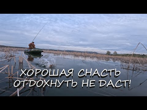 Видео: ОЗЕРО РАЗДАЁТ ВЕЛИКАНОВ | НА ПОПЛАВОК В УДОВОЛЬСТВИЕ