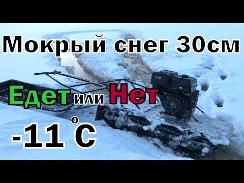 Видео: Вода, мокрый снег 30 см, тест мотособаки (мотобуксировщика) 30.12.19.