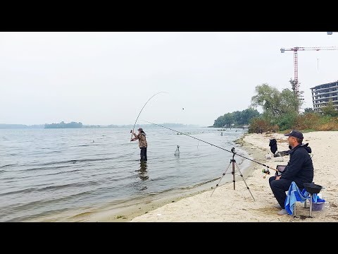 Видео: Жовтнева риболовля в Вишеньках (Осокорки). Карасі й досі клюють.  Рибалка в Києві. Осінній фідер.