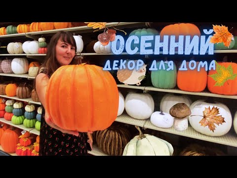 Видео: Осенний декор для дома. Шоппинг. Подготовка к теплой и уютной осени. Vlog