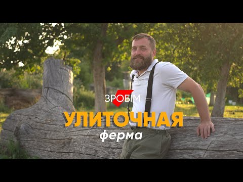 Видео: Улиточная ферма: как заработать на слизняках состояние