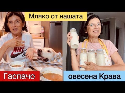 Видео: Студена супа ГАСПАЧО . Как се дои овесена КРАВА ? 🤔🐄Всичко в един ПЕТЪК 😊