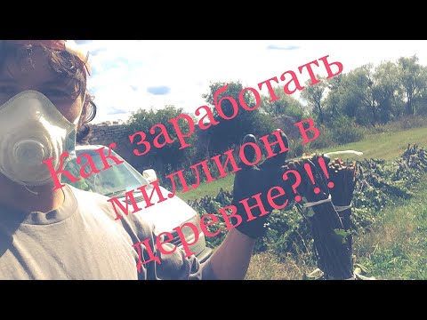 Видео: Бизнес на вениках для бани! Как заработать миллион в деревне?!