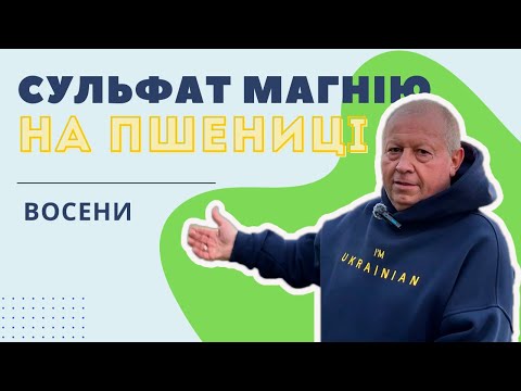 Видео: Сульфат магнію на пшениці восени...