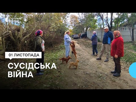 Видео: "Бик пасся — здох, три дні лежав на полі", — у селі на Вінниччині скаржаться на сусідську худобу