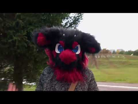 Видео: Фурри сходка-прогуока