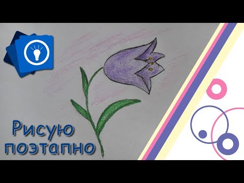 Видео: Уроки рисования поэтапно | Цветок Колокольчик | Простые рисунки