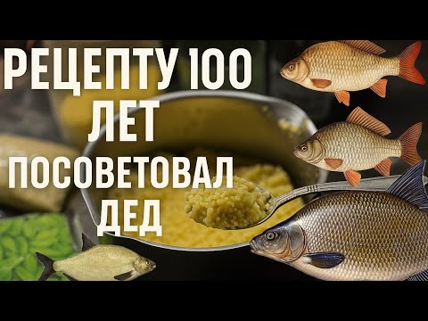 Видео: Посоветовал дед лучшую прикормку на леща, карася и карпа за 5 минут 🎣