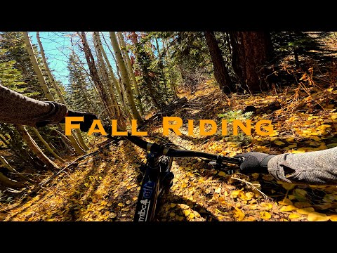 Видео: Горный велосипед поздней осенью в Тахо + Уиллоу учится БЕГАТЬ на ВЕЛОСИПЕДАХ.