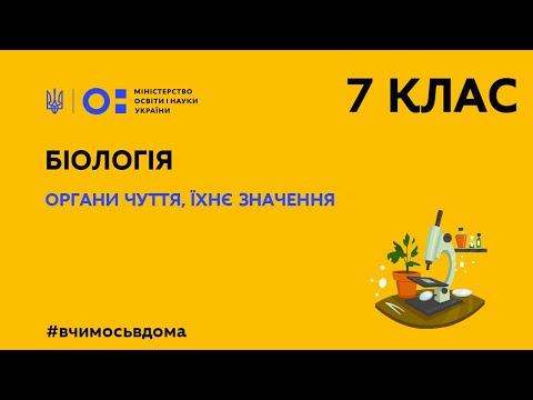 Видео: 7 клас. Біологія. Органи чуття, їхнє значення (Тиж.1:ЧТ)