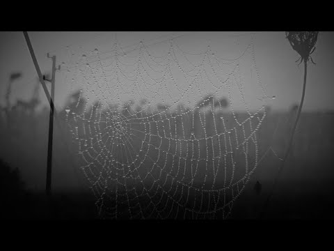 Видео: No More Many More - Призрак