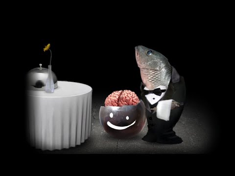 Видео: РЫБА ОФФИЦИАНТ И ШАР ДЛЯ БОУЛИНГА С МОЗГАМИ (ЧТО ВООБЩЕ ПРОИСХОДИТ?) (Mitoza)