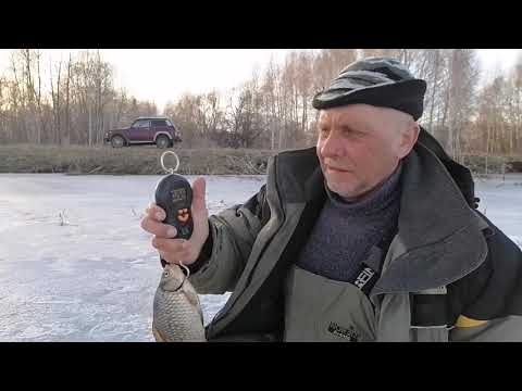Видео: ПОСЛЕДНИЙ ЛЕД. КАРАСЬ утаскивает удочки.