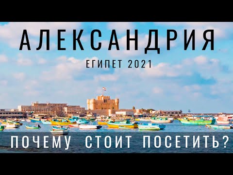 Видео: Египет. Александрия. Я в шоке. Почему это лучший город Египта?  Обзор: еда, цены, места. Египет 2024