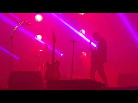 Видео: Звери Поздно