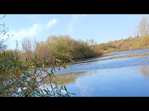Видео: Я на рыбалке