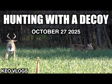 Видео: Охота на козла-самца в заговоре