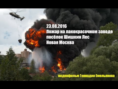 Видео: Пожар 23.08.2016 Шишкин лес (Новая Москва). Russian helicopters extinguish the fire.