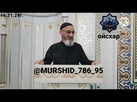 Видео: ИСА ХЬАЖА ОЙСХАР! АЛЬ- МИКЪДАД АСХЬАБЕХ ЛАЬЦ ХАЗ ХЬЕХАМ! 15.11.2024г.