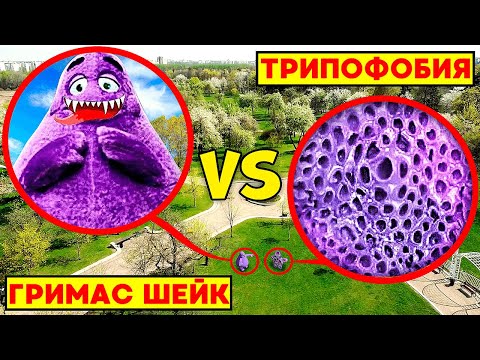 Видео: ТРИПОФОБИЯ vs ГРИМАС ШЕЙК **эпичное столкновение**