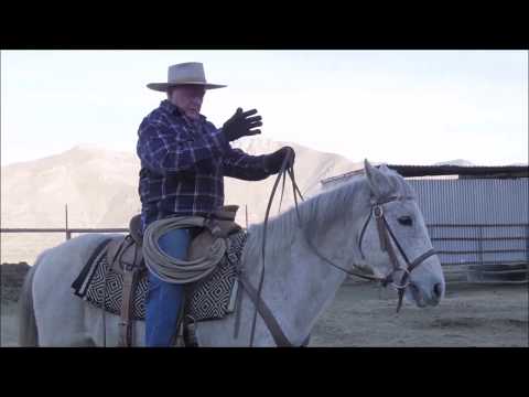 Видео: Поддача ребра и еще кое-что о страхе