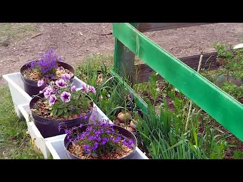 Видео: РАЗБИРАЕМ КУХНЮ НА ДРОВА 8