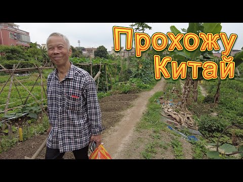 Видео: Прохожу Китай 2-1. Деревня городского типа