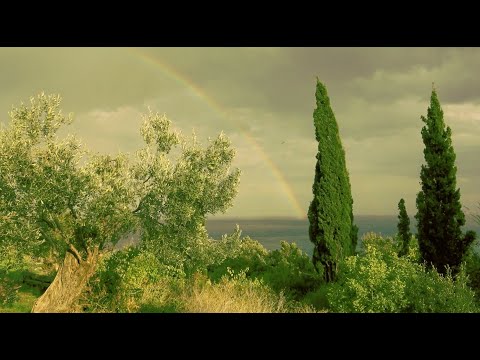 Видео: Загадки старца, ставящие в тупик