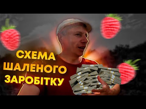 Видео: ДЕСЯТЬ ТИСЯЧ В ДЕНЬ НА МАЛИНІ У 2023 РОЦІ‼️Схема заробітку великих грошей на малині. Бізнес в селі.