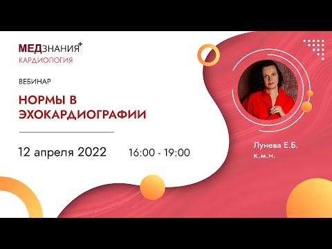 Видео: Нормы в эхокардиографии