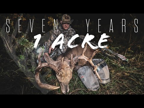 Видео: 7 лет поисков на одном акре