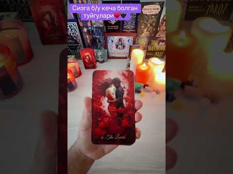 Видео: Сизга бу кечада болган туйгулари♥️🫶 #карта #tarot 