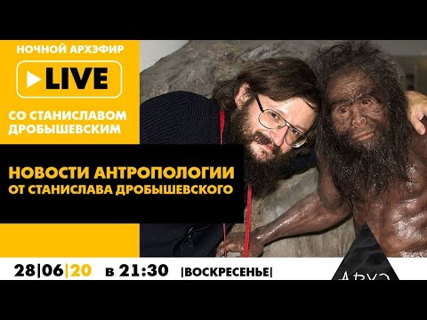 Видео: Ночной АРХЭфир "Новости антропологии от Станислава Дробышевского"