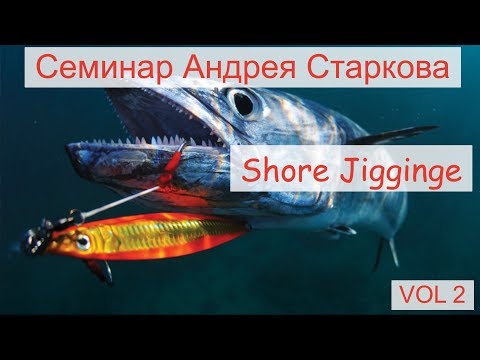 Видео: Семинар - Андрей Старков  - shore jigging Vol 2