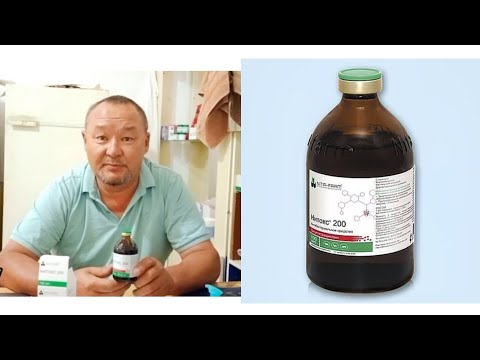 Видео: НИТОКСТЫҢ ПАЙДАСЫ мен ЗИЯНЫ!