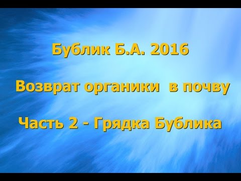 Видео: Бублик Б.А. 2016 Возврат органики в почву часть 2 - Грядка Бублика