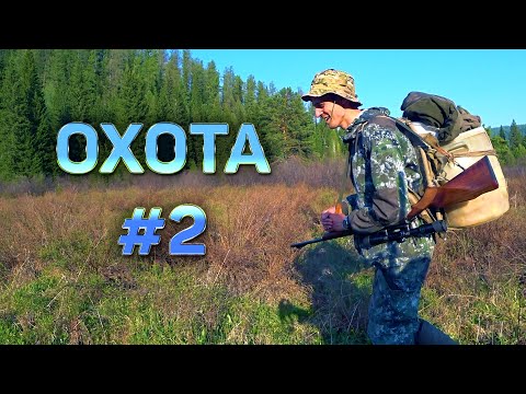 Видео: МЕДВЕДЬ РАЗГРОМИЛ ИЗБУШКУ ОХОТНИКОВ! ОХОТА НА МАРАЛА