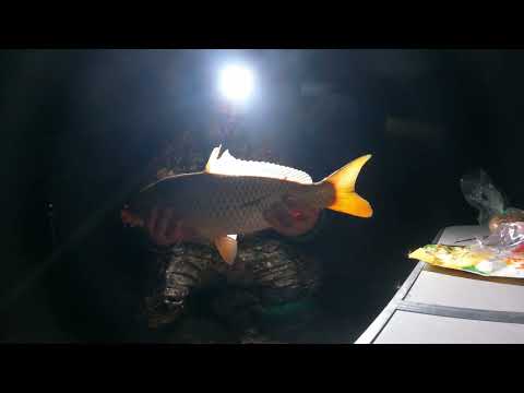 Видео: РЫБАЛКА НА ДГК (БЕТОНКА) НА МАКУШАТНИКИ х.ЛЕБЕДИ