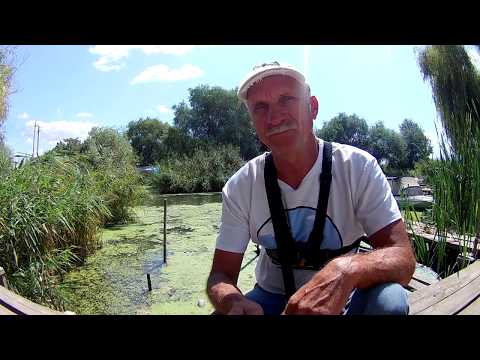 Видео: Днестровский Лиман. Облом с погодой..