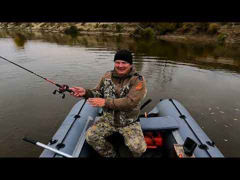 Видео: Вот так клюет осенью.