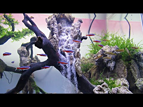 Видео: РУКОВОДСТВО ПО АКВАСКЕЙПУ - Как сделать водопад Акваскейп