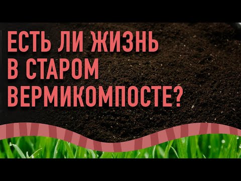 Видео: Оживляем вермикомпост.