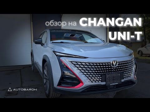 Видео: 31 октября 2025 г.