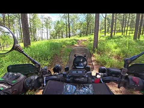 Видео: В лес на пикник на Royal Enfield 450
