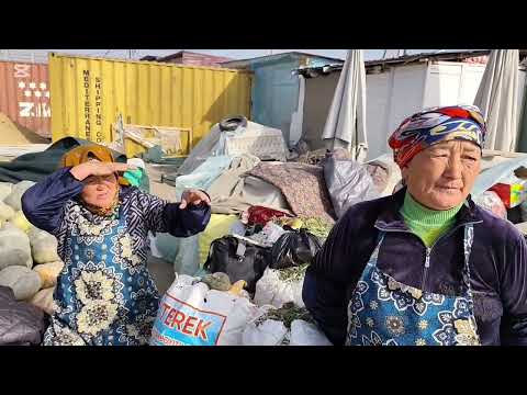 Видео: НОКИС КАТЕКС БАЗАР  10 НОЯБР 2025 ЖЫЛ