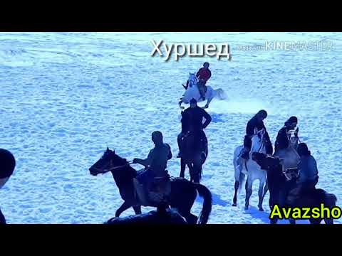 Видео: Хуршедшо човандоз асп бо лакаби. КАМАРОБ.