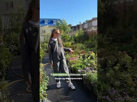 Видео: Айстри та злаки — краса осені 🍂 | Як створити живий сад, що квітує до зими