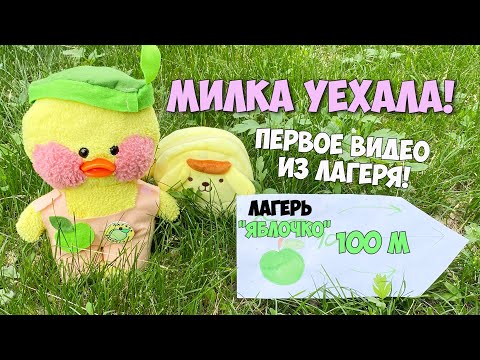 Видео: Уточка Милка уехала в летний лагерь! Первое видео от Милки! Летние Идеи для уточек LALAFANFAN