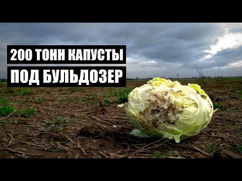 Видео: Даже ПРЕЗИДЕНТ об этом не знал! ПРЕМЬЕРА на СТВ! | Народный контроль