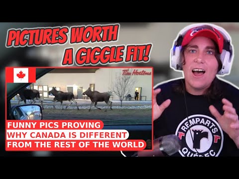 Видео: Забавные фотографии, доказывающие, чем Канада отличается от остального мира | Australian Reacts-A...